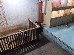-嘉兴海底世界