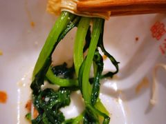 茼蒿-袁记串串香(四平路店)