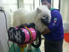 -好利来(桂林路店)