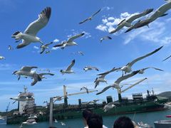-海驴岛(荣成市)