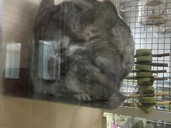 -三旗百汇商品城