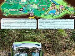 -西双版纳原始森林公园