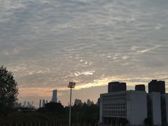 -聂师傅油焖大虾