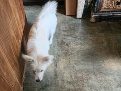 -绿房子方寸咖啡(星海名城店)