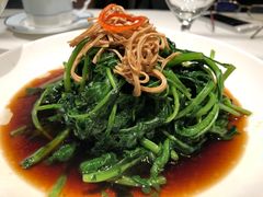 南京菊花脑-民国红公馆·秦淮八艳(夫子庙店)