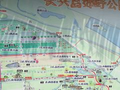 -上海长兴岛郊野公园