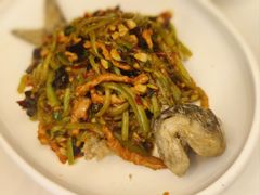 -院8里·少城记忆老川菜(宽窄巷子店)