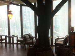 iphone_upload_pic-栖巢咖啡(天鹅湖万达低碳店)