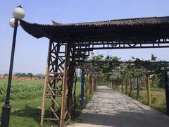 -苏州太湖西山岛开心农场