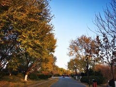 -永定河休闲森林公园