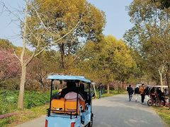 -上海海湾国家森林公园