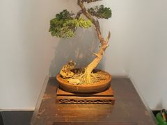 -稍可轩博物馆餐厅