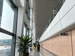-青岛胶东国际机场