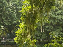 -沙河三洞古桥公园