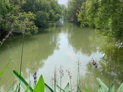 -长兴太湖图影湿地文化园