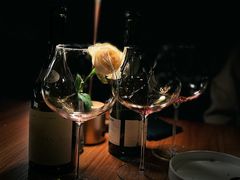 -Wine Universe 宇宙酒馆