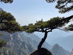 -黄山风景区