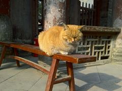 -大学习巷清真寺