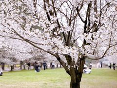 -同济大学(嘉定校区)