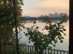 -东湖食堂·湖景餐厅•会议