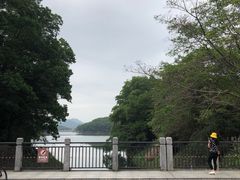 -红花湖景区