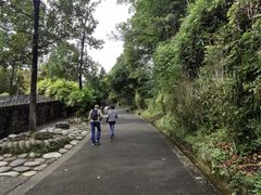 -都江堰中华大熊猫苑