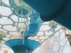 -水立方嬉水乐园