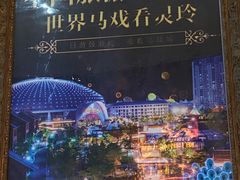 -灵玲国际马戏城