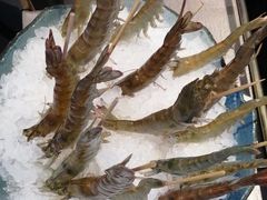-熹悟海鲜火锅·广式打边炉
