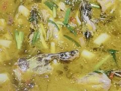 -满诗爷黄辣丁(金岛花园店)
