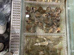 -山海经·海边人家 海鲜新青岛菜(扬州路店)