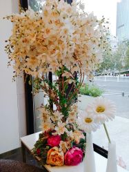 -Dr.U博士医疗美容医院