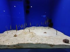 -长春中泰海洋世界