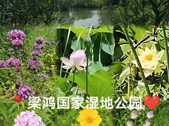 -梁鸿国家湿地公园