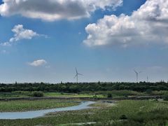 -上海海湾国家森林公园