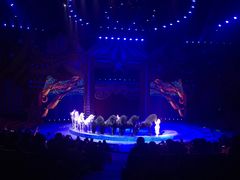 -珠海横琴长隆《卡卡虎奇遇记》