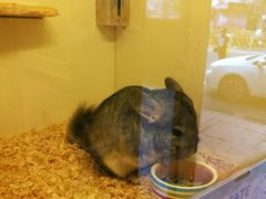 -龙猫仔乐园(惠福东路店)