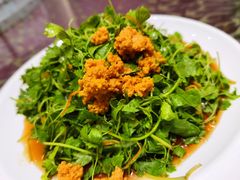 三叶香炝海胆-老虎滩船说·大连海鲜(老虎滩店)