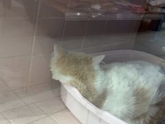 -FAELING PETS美天灵宠物(富力广场店)