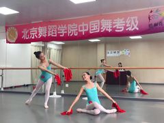 -梧桐花语舞蹈培训中心(潞城校区)
