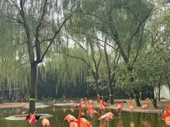 -石家庄市动物园