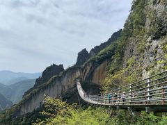 -武陵山森林公园