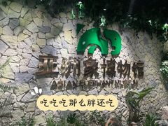 -野象谷景区