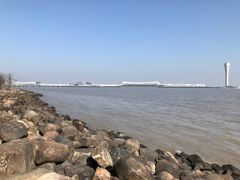 -上海吴淞炮台湾国家湿地公园