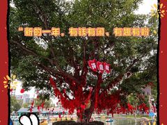 -温州乐园