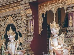 -西双版纳勐泐文化旅游区