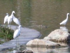 -永定河休闲森林公园