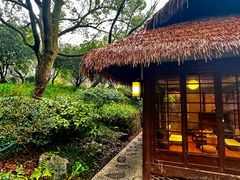 -中国茶叶博物馆(双峰馆区)