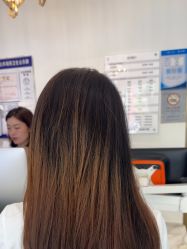 -YESIDO椰岛造型