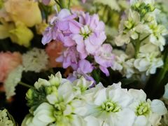 -雪蔓之鲜花气球派对(家佳源时代中心店)